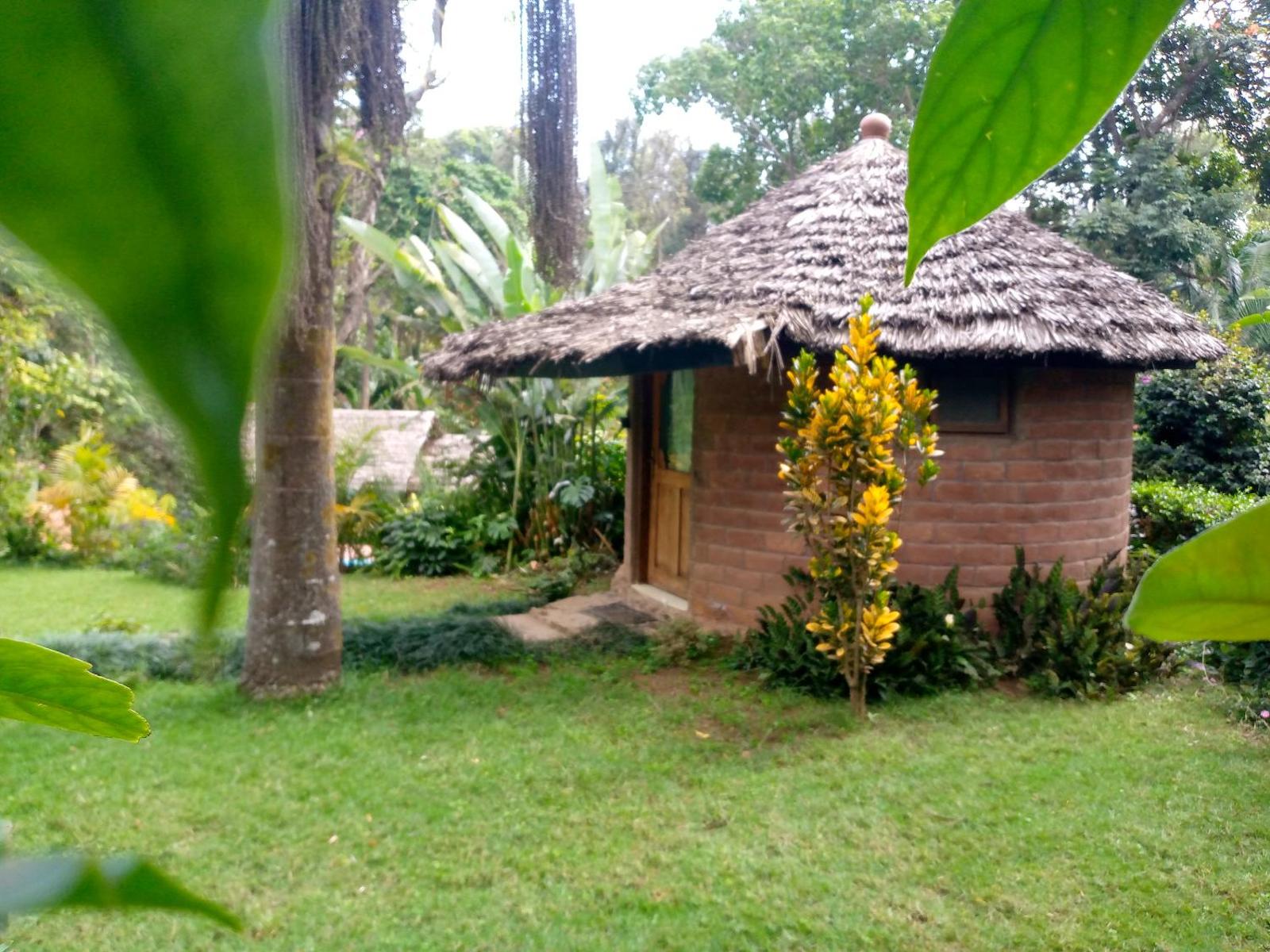 Tololwa spring